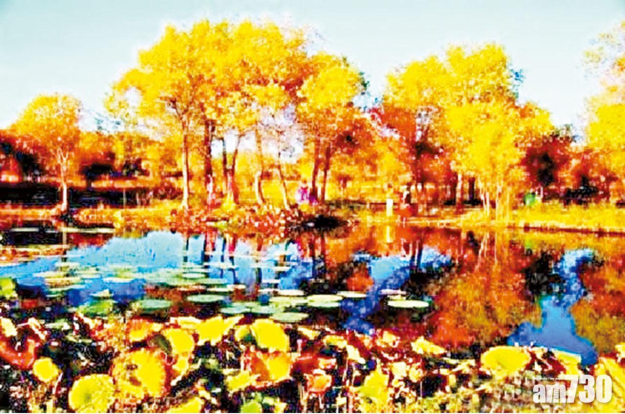 現代中國旅行社 南疆尋奇全探索9/13天團 