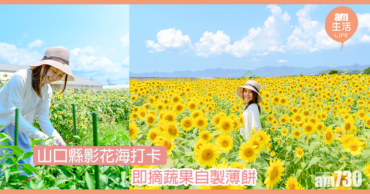 山口縣親子遊 即摘蔬果做薄餅 免費與海豚企鵝零距離接觸