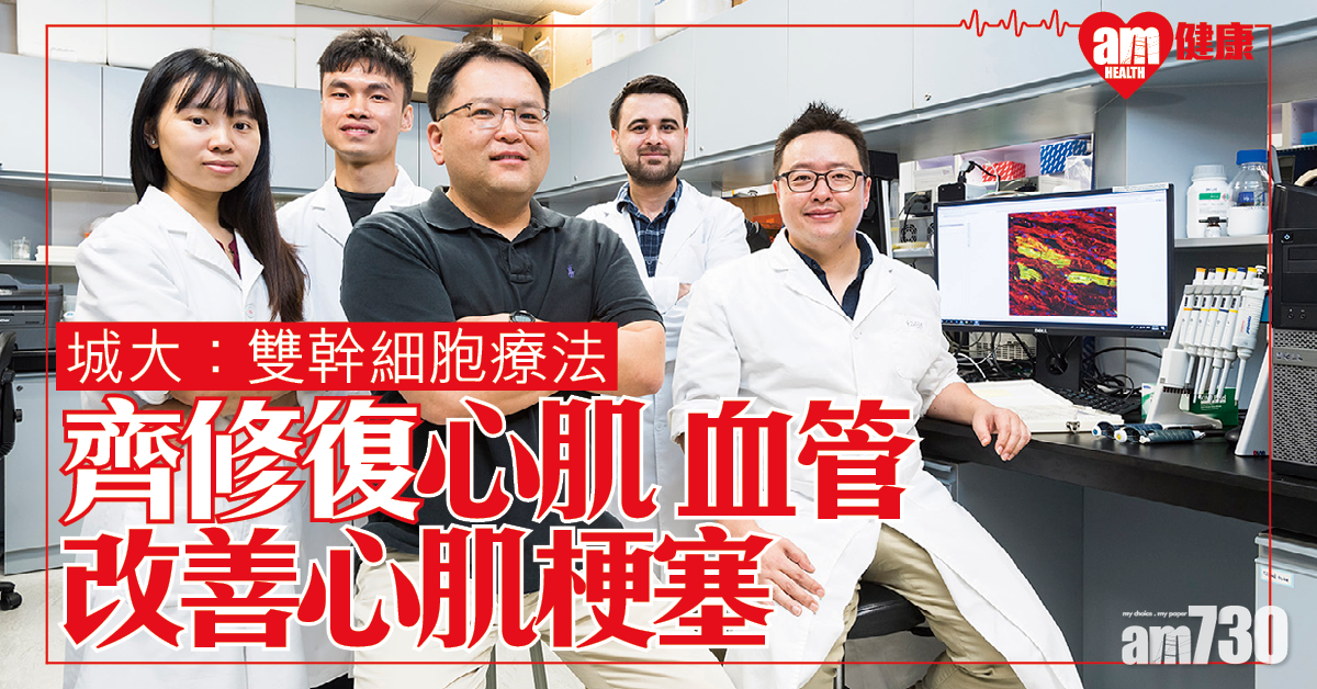 同時修復心肌和血管 城大：首創雙幹細胞療法