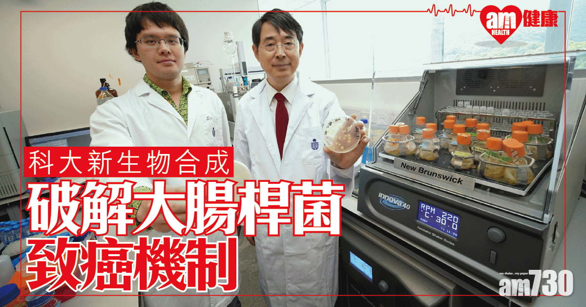 科大新生物合成法 破解大腸桿菌致癌機制
