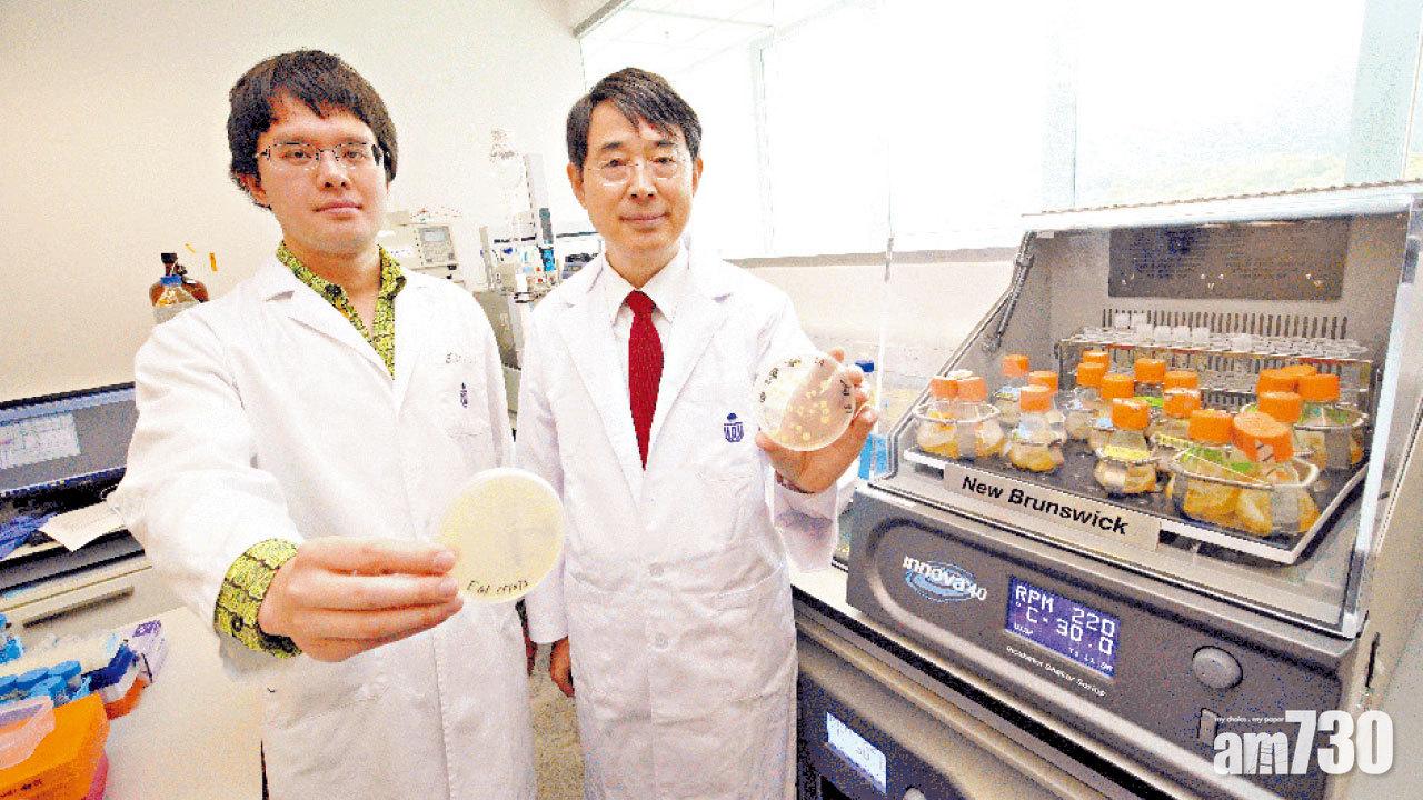 大腸桿菌釋毒素或致癌 科大新研究冀助防治