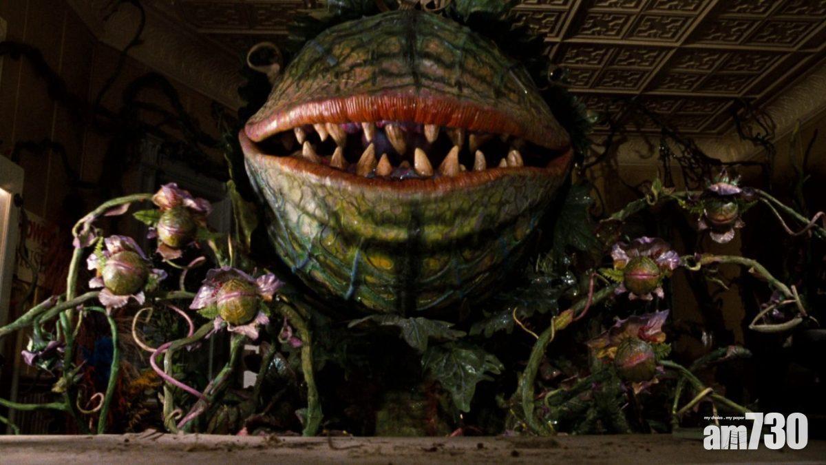 【天后愛恐怖】Lady Gaga接拍《異形奇花》