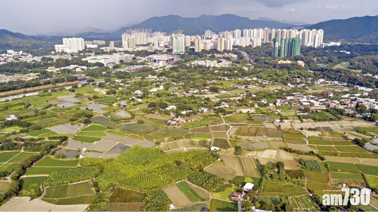 收回條例只宜作「尚方寶劍」 新地倡新界地積比逾3倍