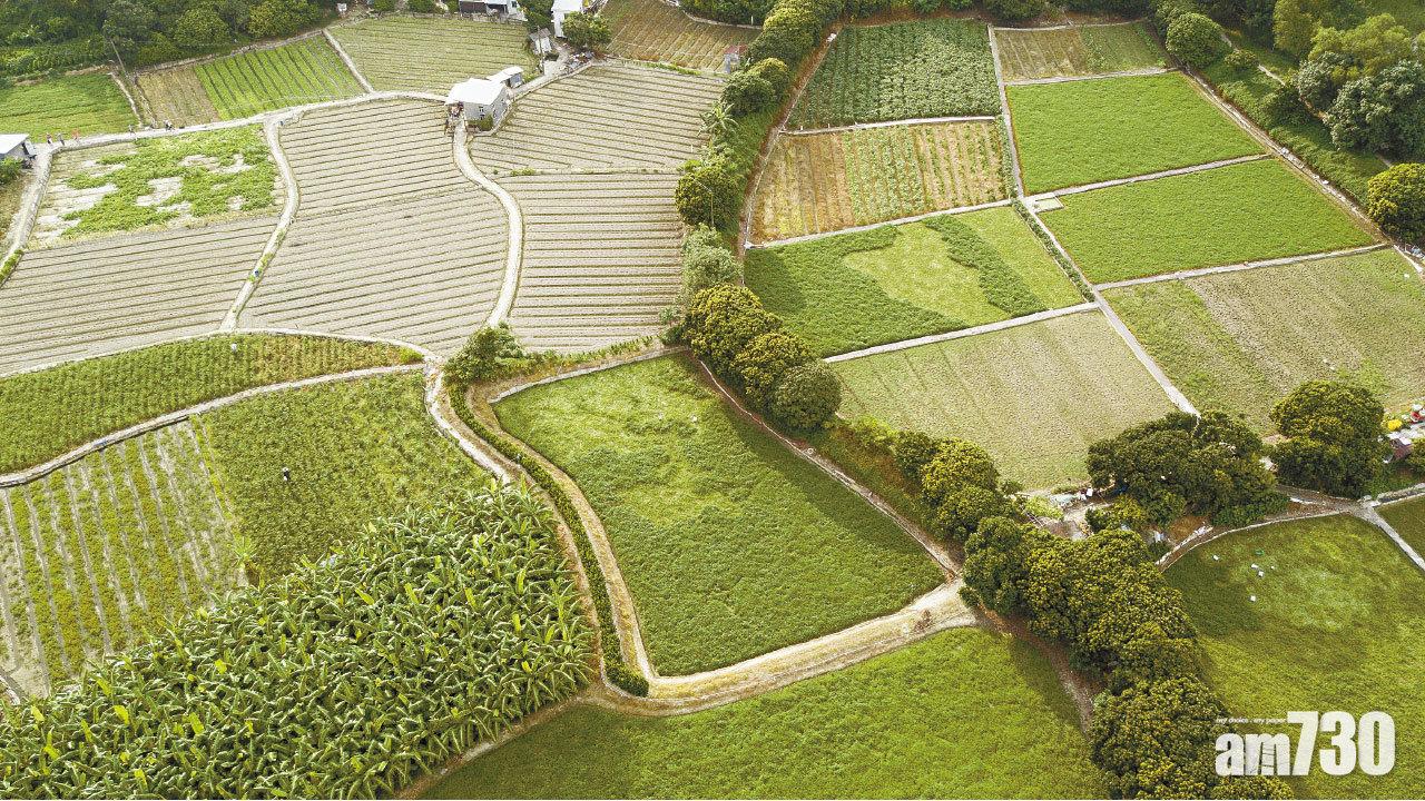 新世界捐300萬方呎農地