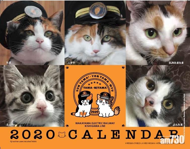 【貓奴注意】和歌山電鐵貓站長2020年版月曆萌爆登場