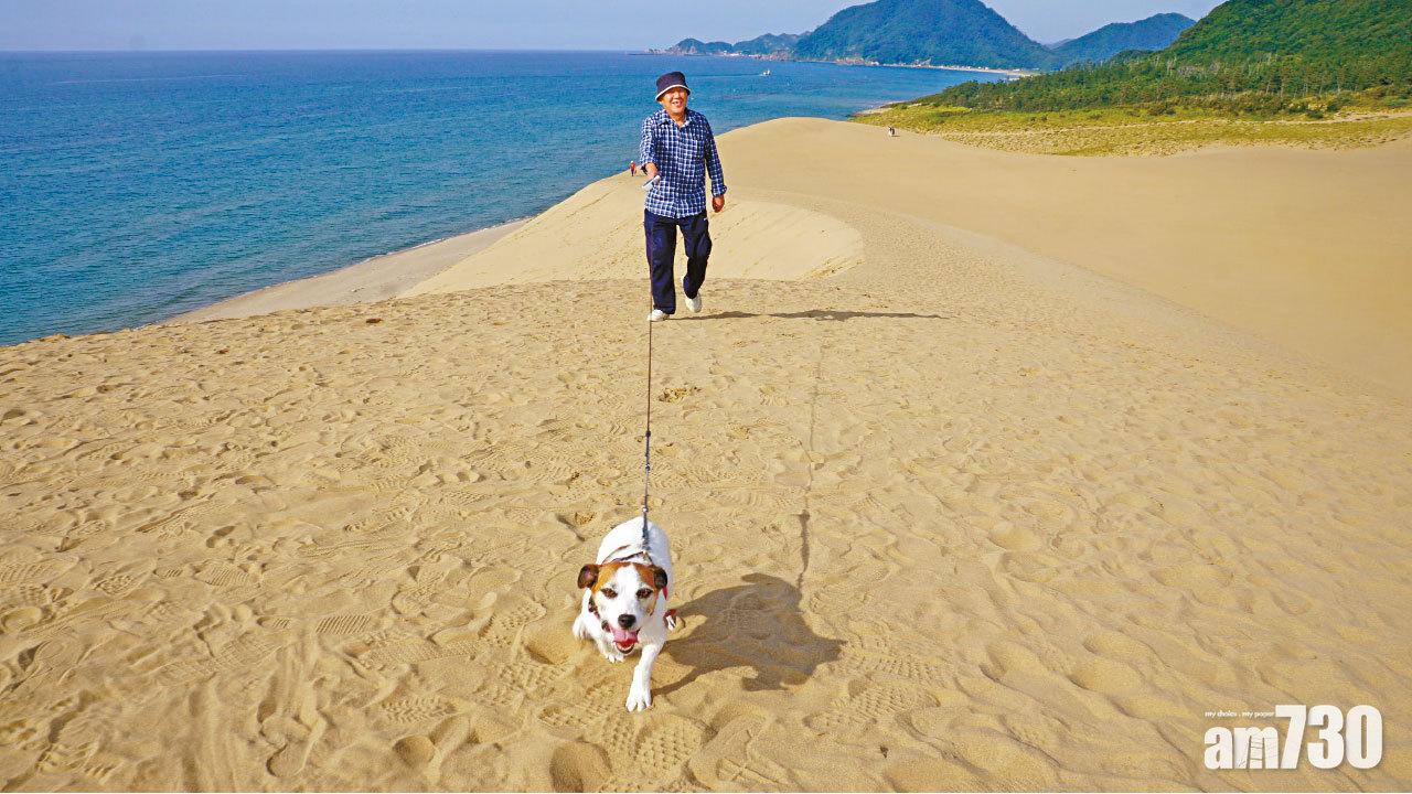 砂丘放狗 鳥取