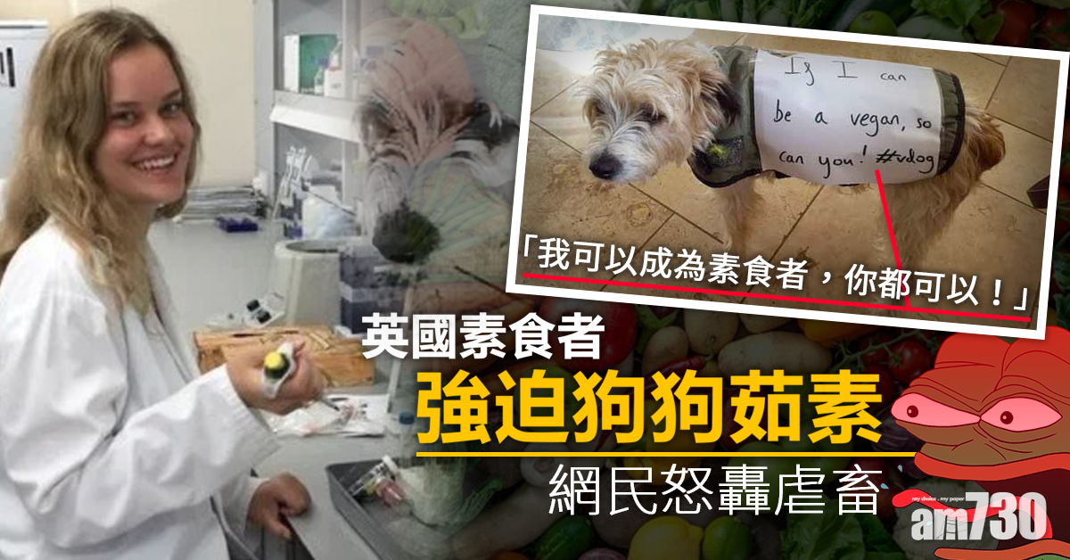 【太over】英素食者強迫狗狗茹素  網民怒轟虐畜