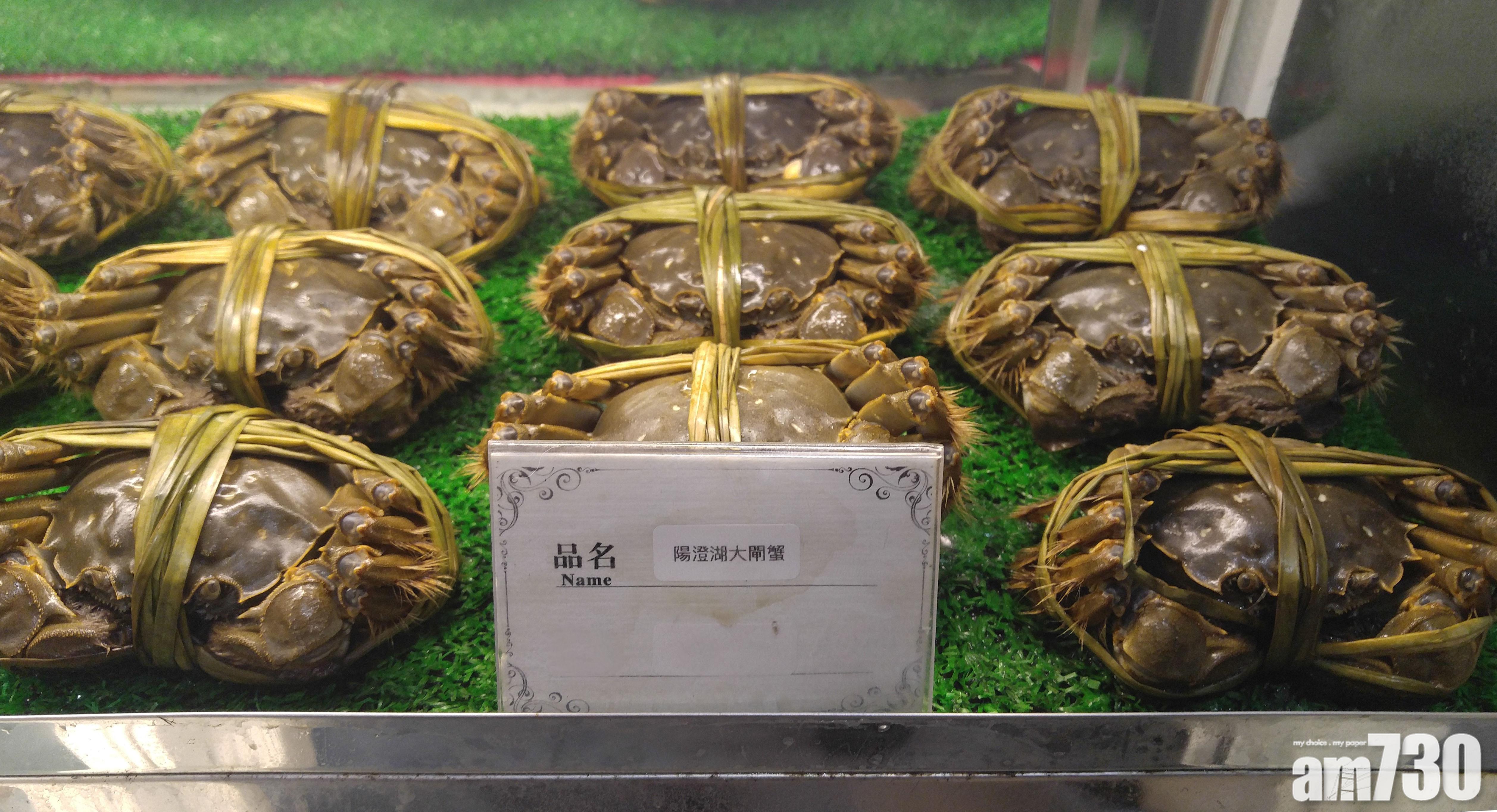 【虛假產地】港無進口紀錄　銅鑼灣檢19隻「陽澄湖大閘蟹」