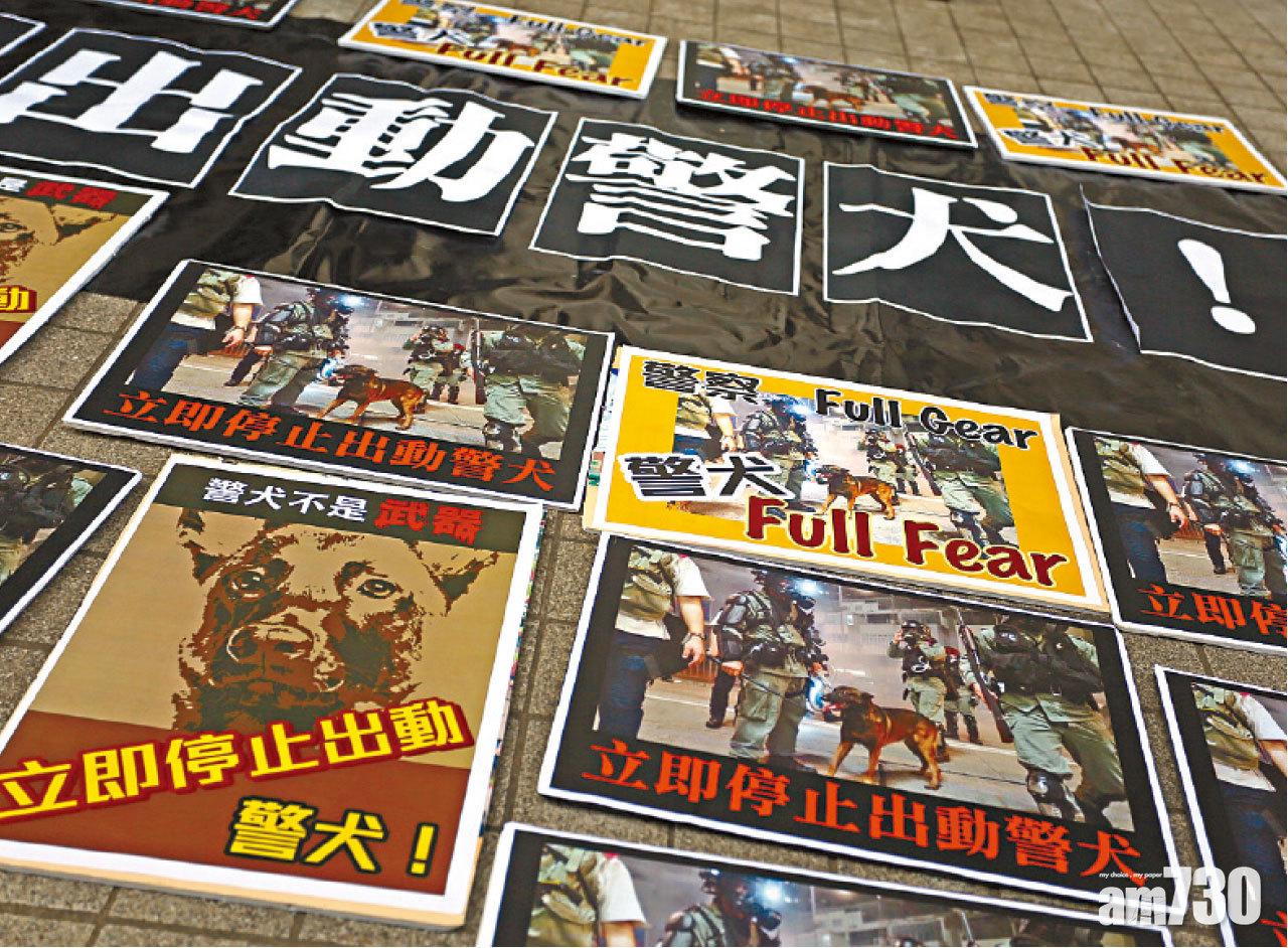 警犬零裝備執勤  警犬隊︰身體正常