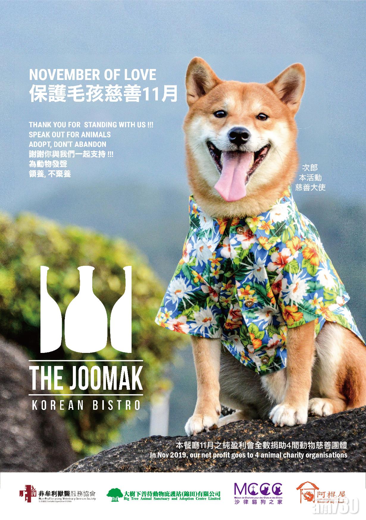 The Joomak保護毛孩慈善11月