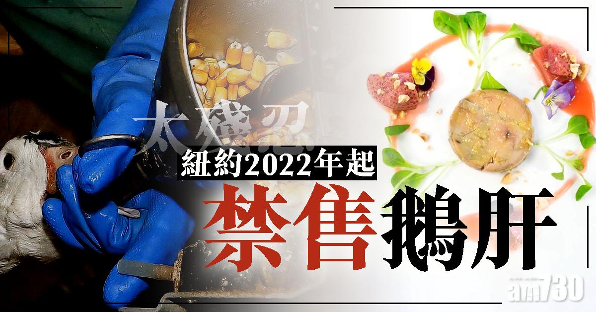 【太殘忍】紐約2022年起禁售鵝肝　違規最高罰1.5萬港元