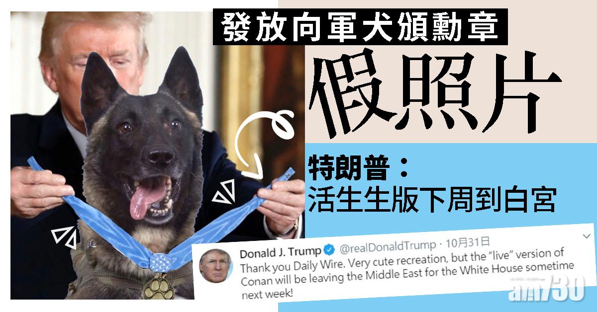 發向軍犬頒勳章假照片  特朗普：活生生版下周到白宮