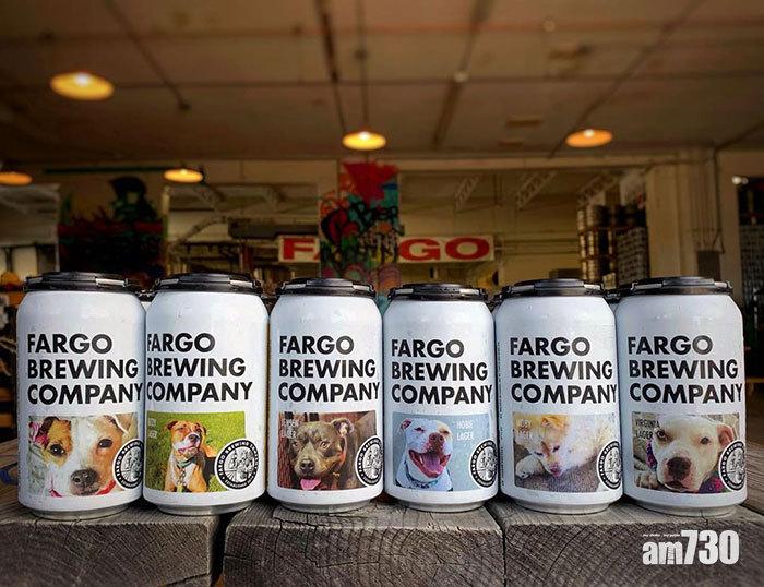 【愛毛孩】啤酒罐身印待領養狗狗照片