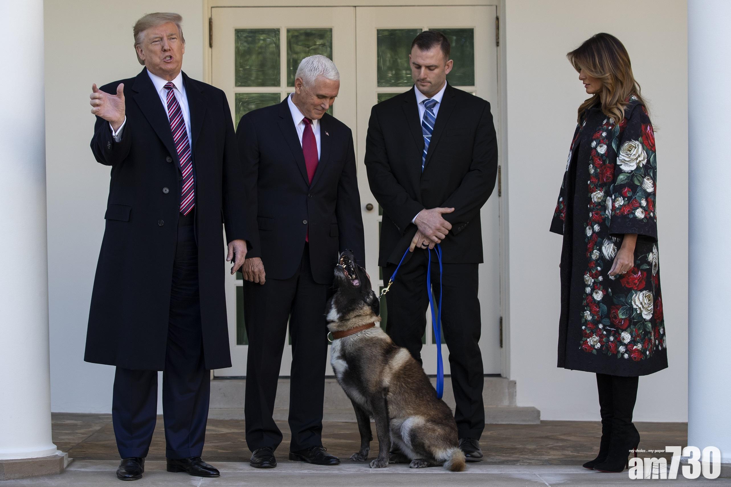 【唔俾面】助殺IS首領軍犬  受勳唔理特朗普