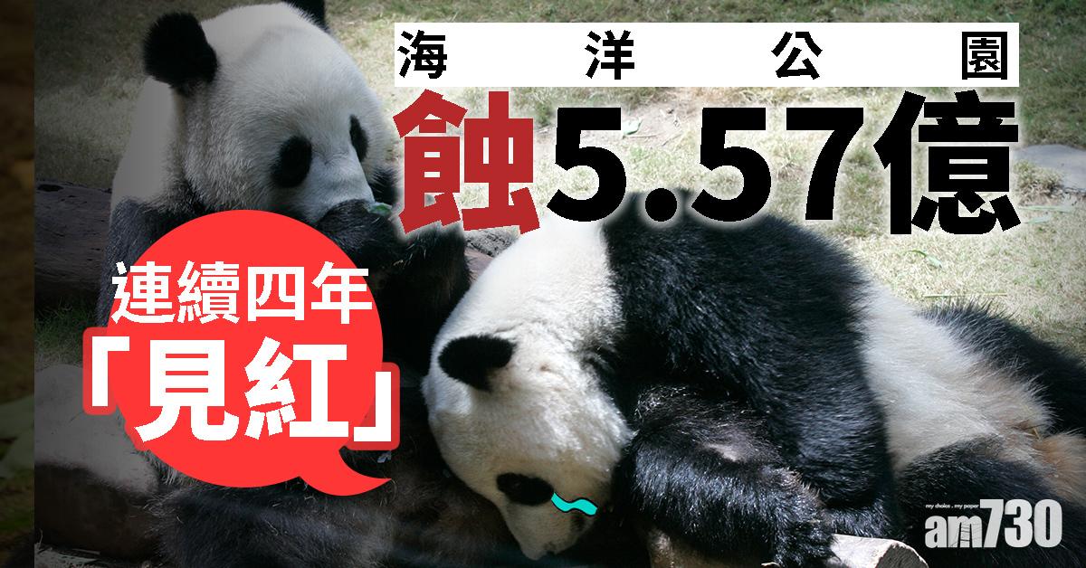 海洋公園蝕5.57億　連續四年「見紅」  