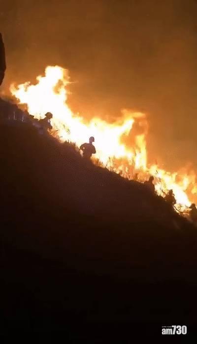 為浪漫上山點「煙花」影相 情侶燒光10畝地