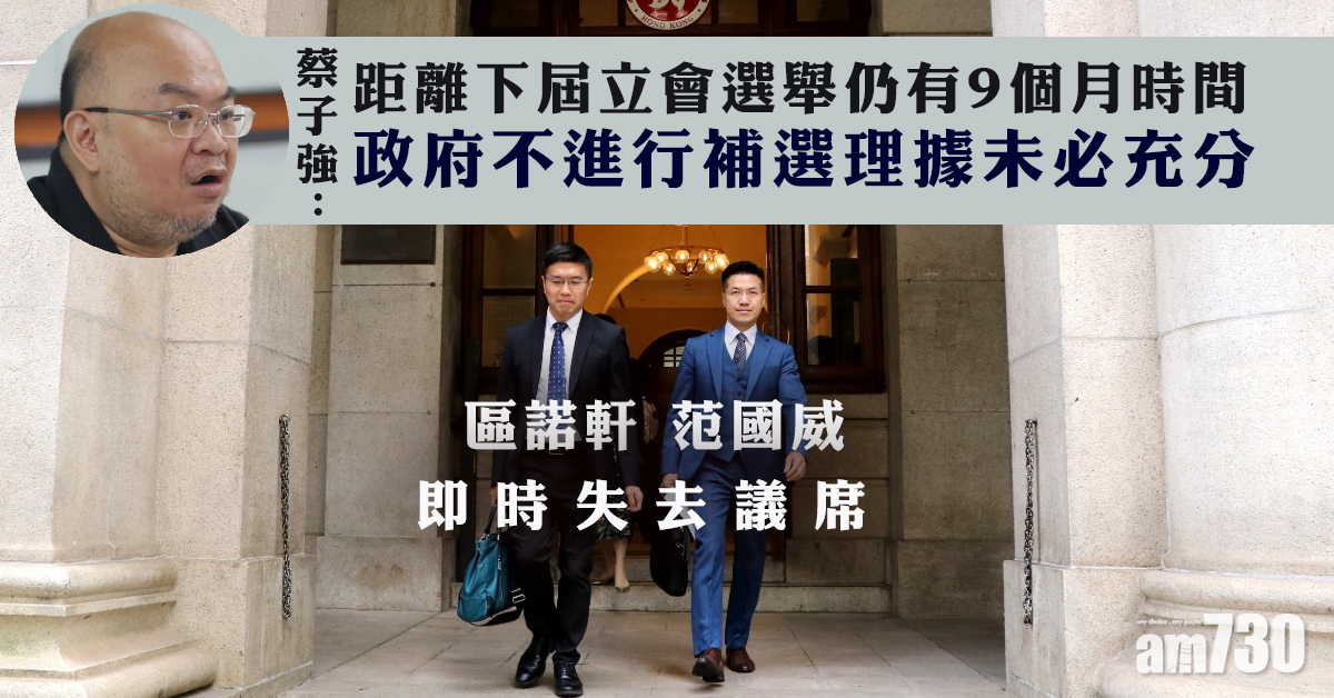 【DQ案】蔡子強：政府不進行補選理據未必充分