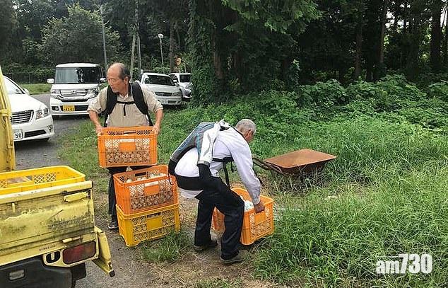 【延長工作年齡】長者穿起機械「外骨骼」 70歲仍有氣有力搬重物