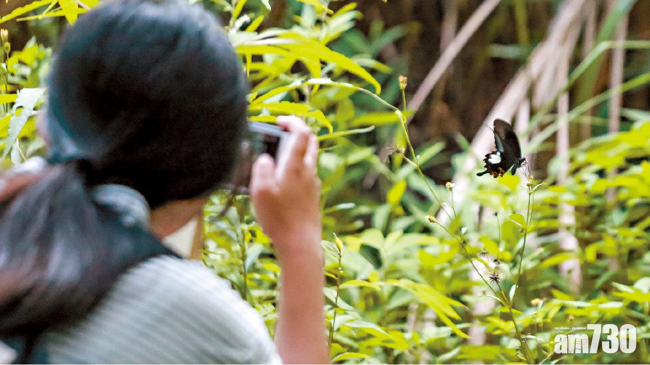 旅行社接待1客獲資助100元  5000萬鼓勵綠色旅遊
