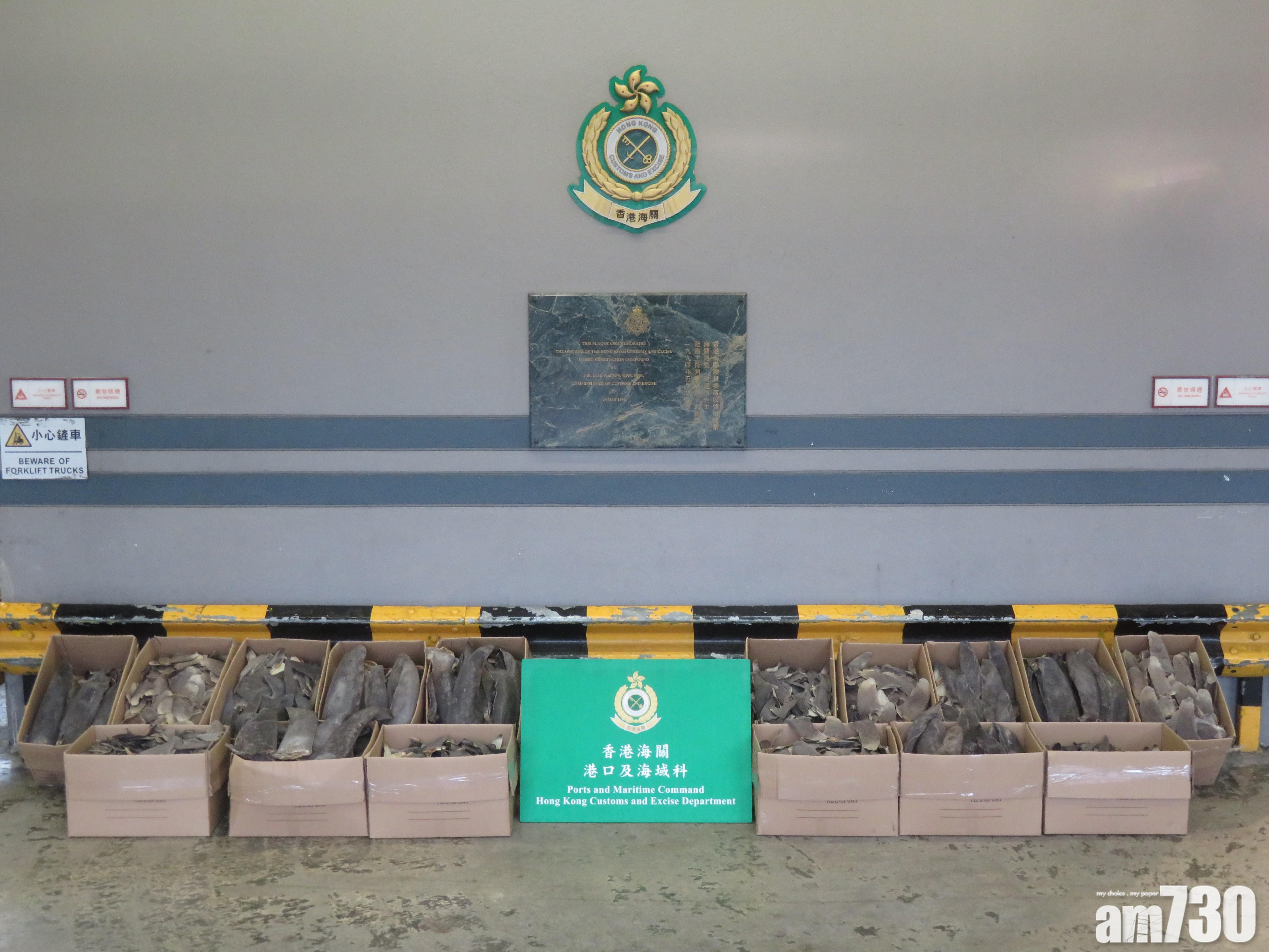 海關檢200公斤懷疑受管制乾魚翅