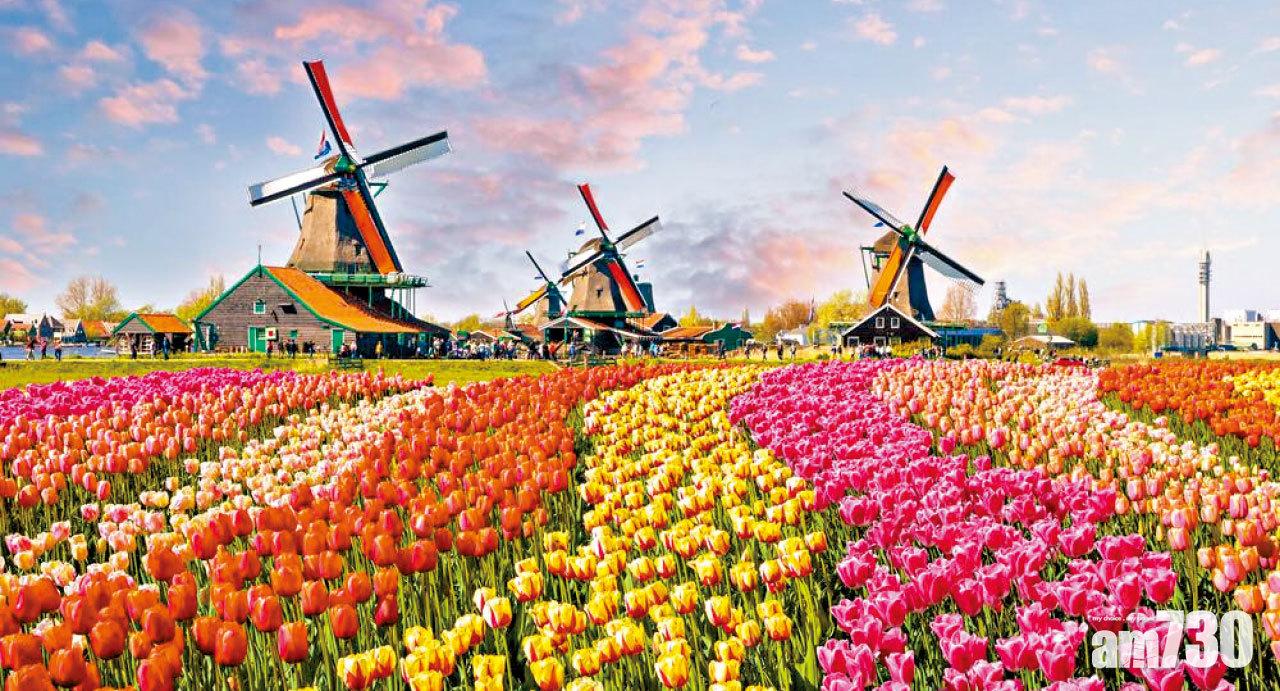 棄Holland暱稱 荷蘭統一英文國名Netherlands