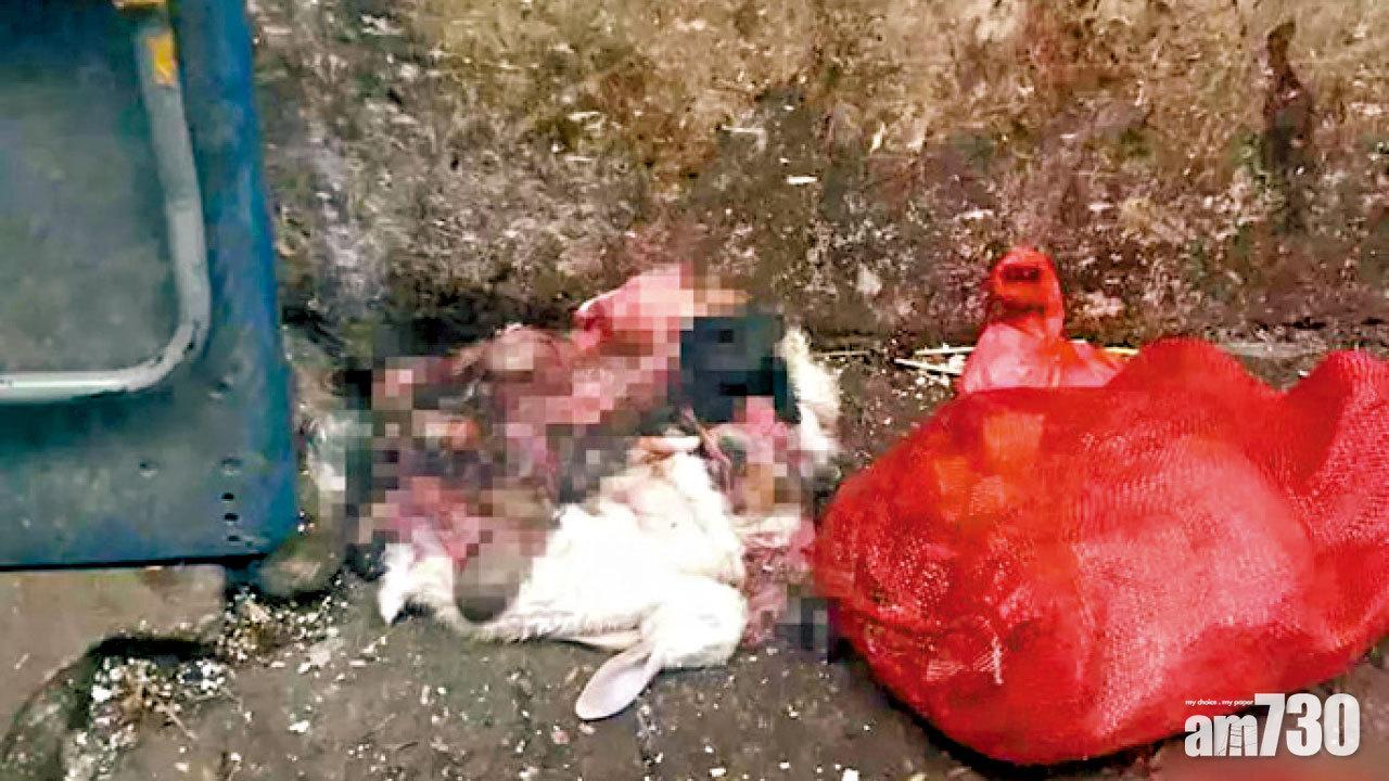 武漢不明病毒肺炎 海鮮市場野味內臟隨處棄