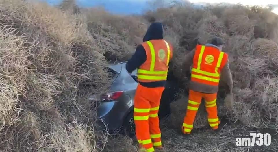 【奇景】風滾草封公路如雪崩 15呎「草牆」困車輛 (有片)