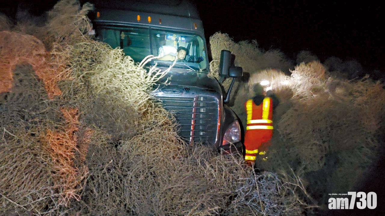 美公路現奇景 風滾草如雪崩 人車被困