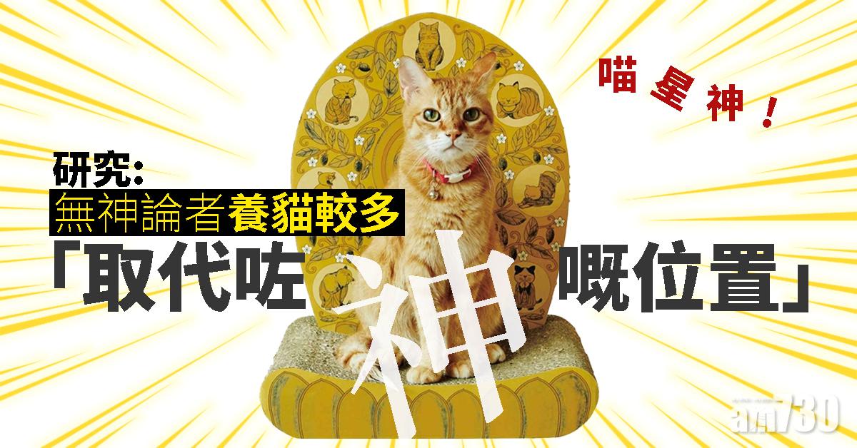 【喵星神】研究︰無神論者養貓較多「取代咗神嘅位置」