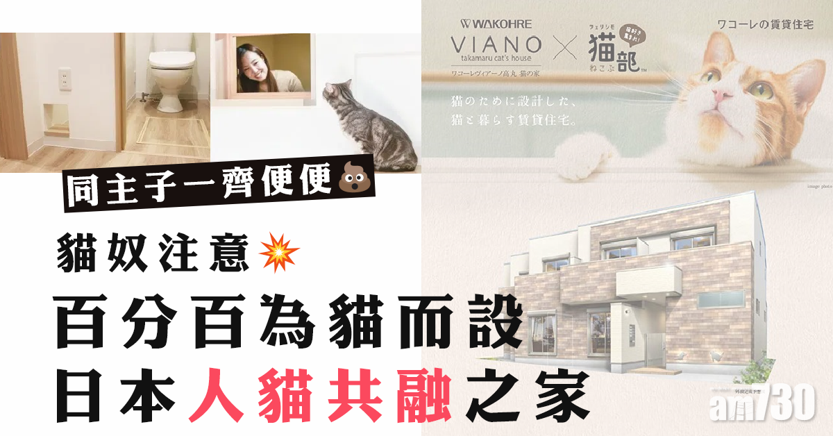 日本貓屋 人貓共融