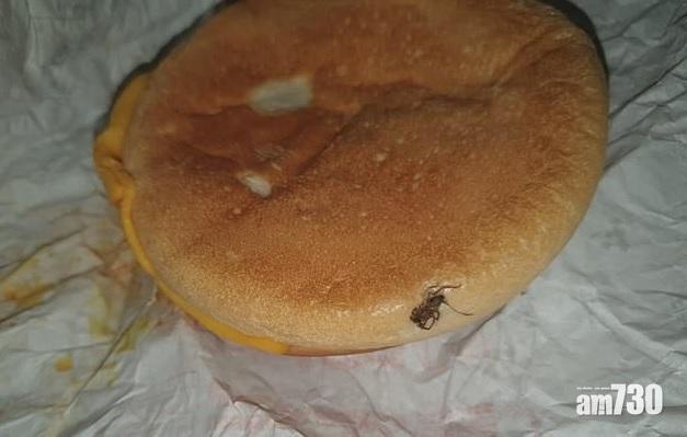 【加強QC吧】麥當勞蜘蛛屍漢堡嚇人  英女大驚：蜘蛛腳嵌入麵包