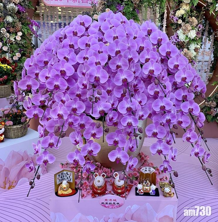 室內年宵市場開市  8元百株開運花搶購