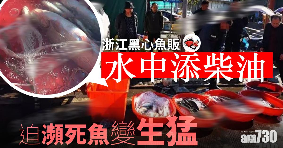 浙黑心魚販水中添柴油 迫瀕死魚變生猛