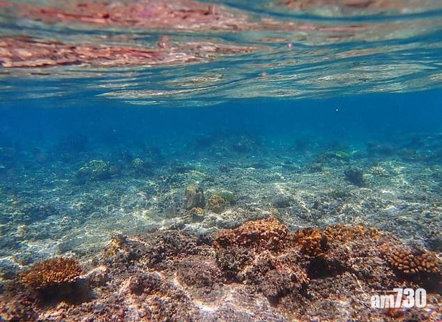 研究：暖化加劇 海洋吸收熱能等同投入36億個廣島原子彈
