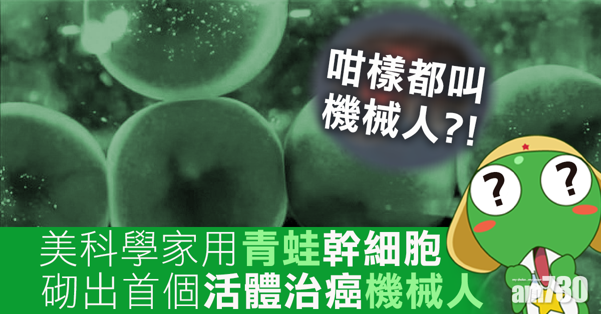 美科學家用青蛙幹細胞 砌出首個活體治癌機械人
