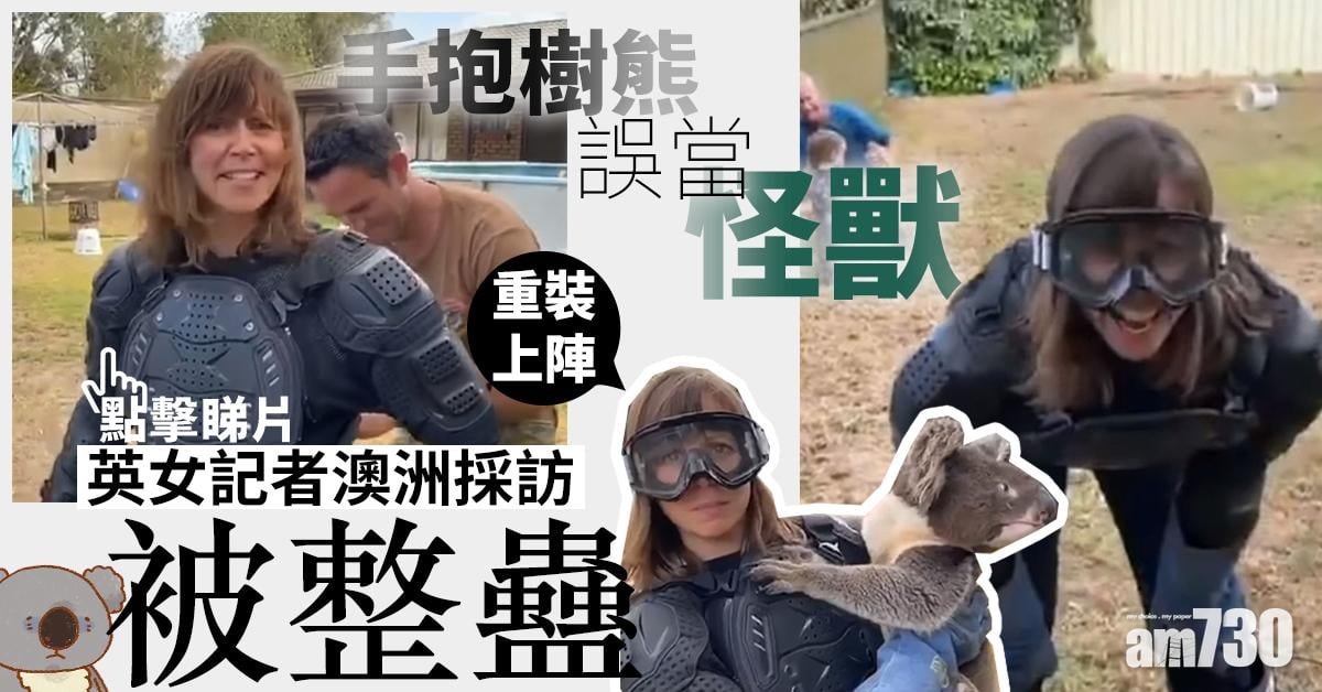 【無常識】英女記者澳洲採訪被整蠱  手抱樹熊誤當怪獸