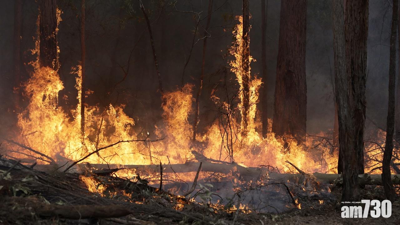 世界氣象組織：2019年是有紀錄以來第二炎熱一年