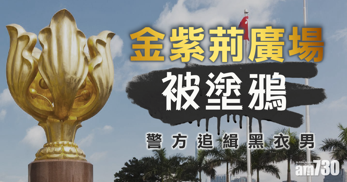 金紫荊廣場被塗鴉　警追緝黑衣男