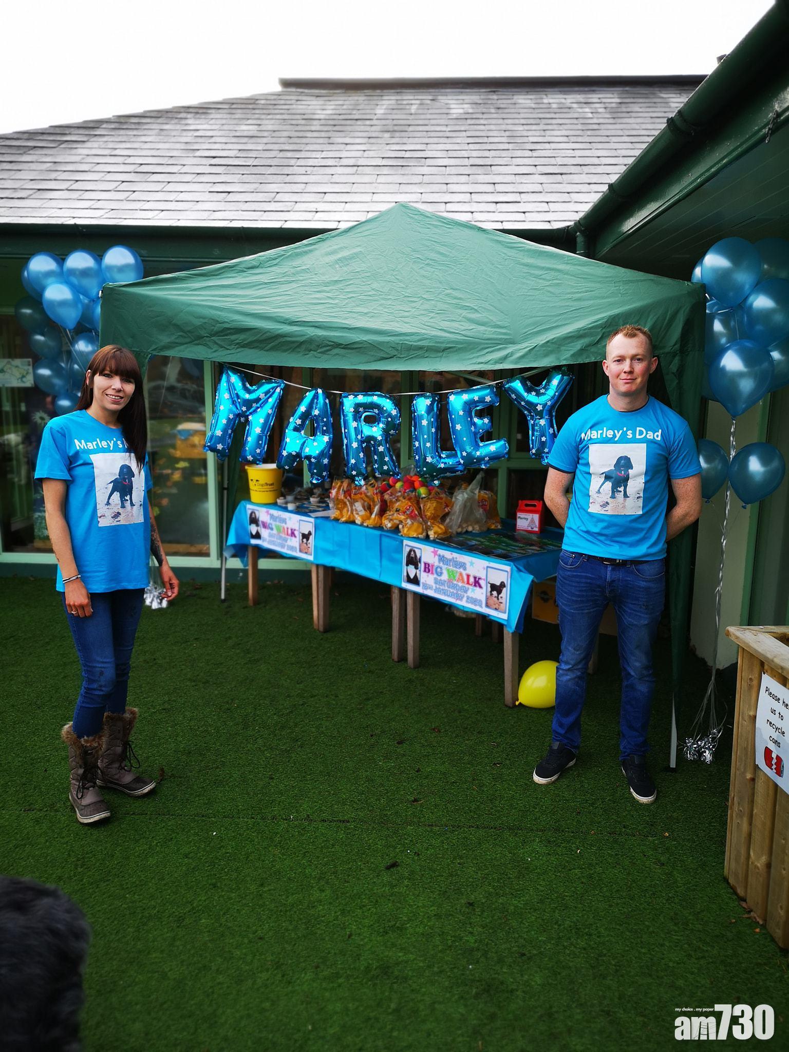 主人為癌末愛犬辦告別派對  400毛孩參與