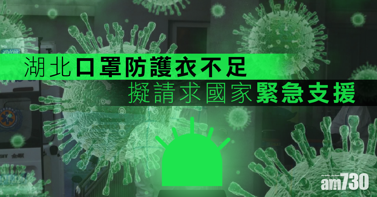 【武漢肺炎】湖北口罩防護衣不足 擬請求國家緊急支援