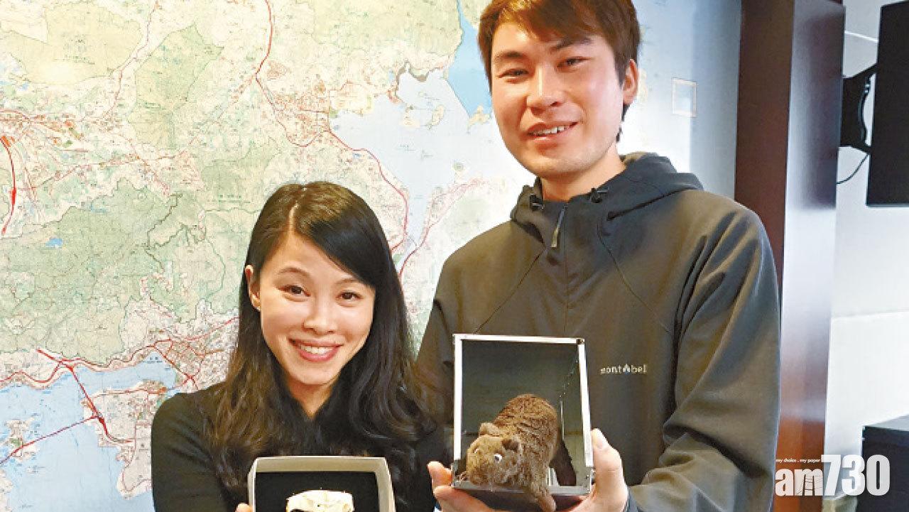 鼠類不一定污糟邋遢 漁護署：野鼠愛整潔