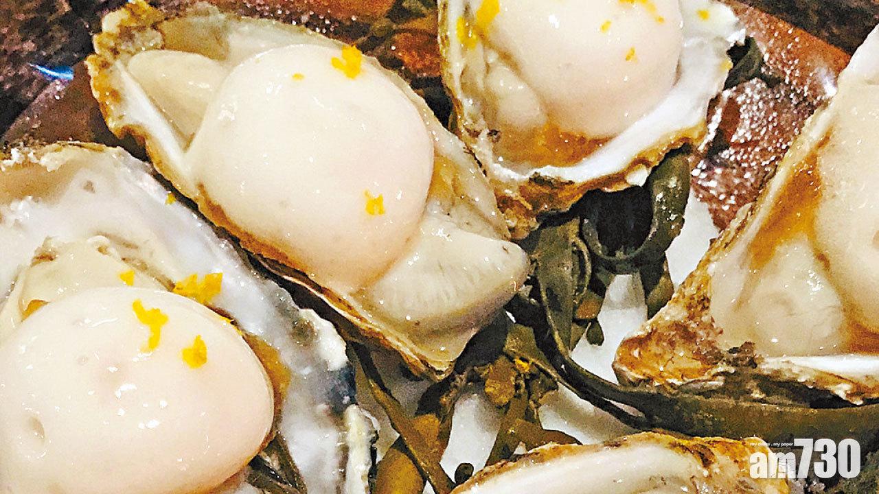 Amelia──相機不能食先