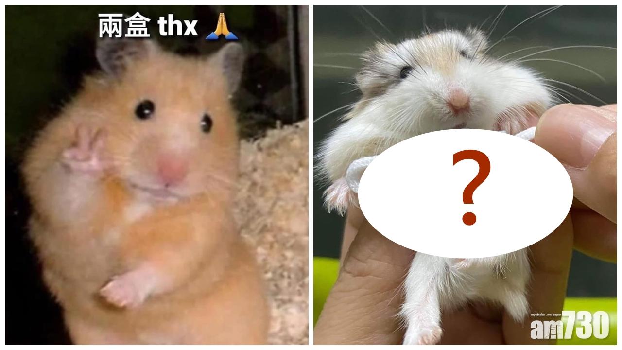【武漢肺炎】「2盒thx」 排足N次終於買到口罩！