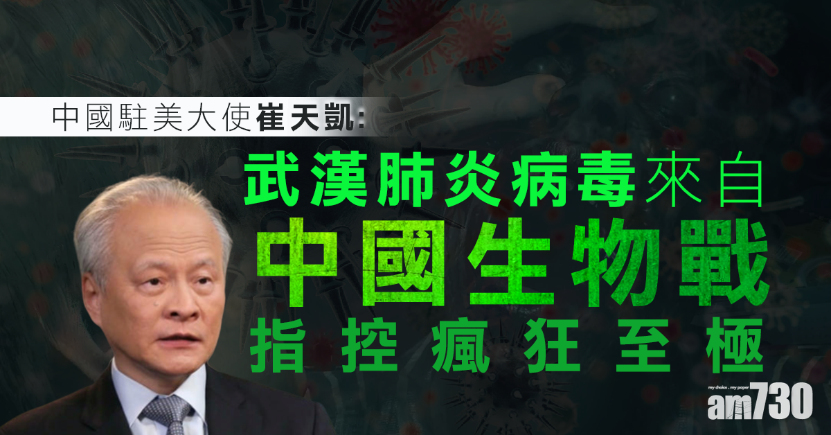 【武漢肺炎】崔天凱：病毒來自中國生物戰指控瘋狂至極