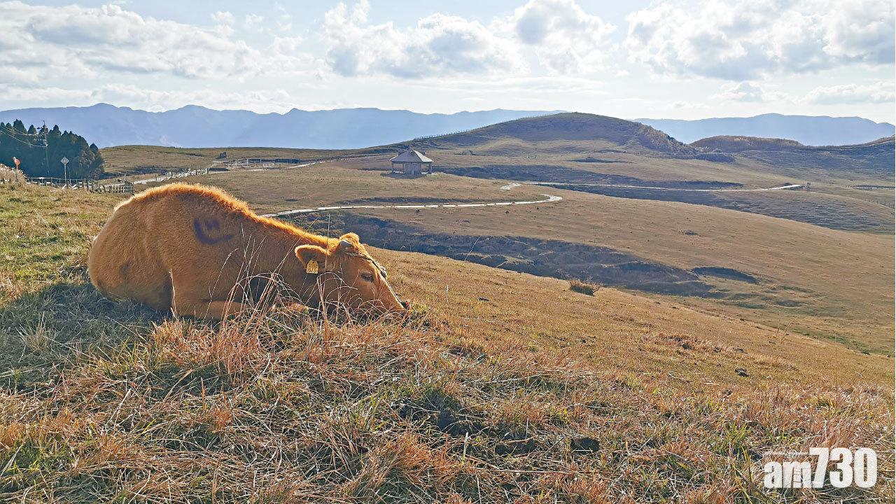 阿蘇看米塚嘗田樂