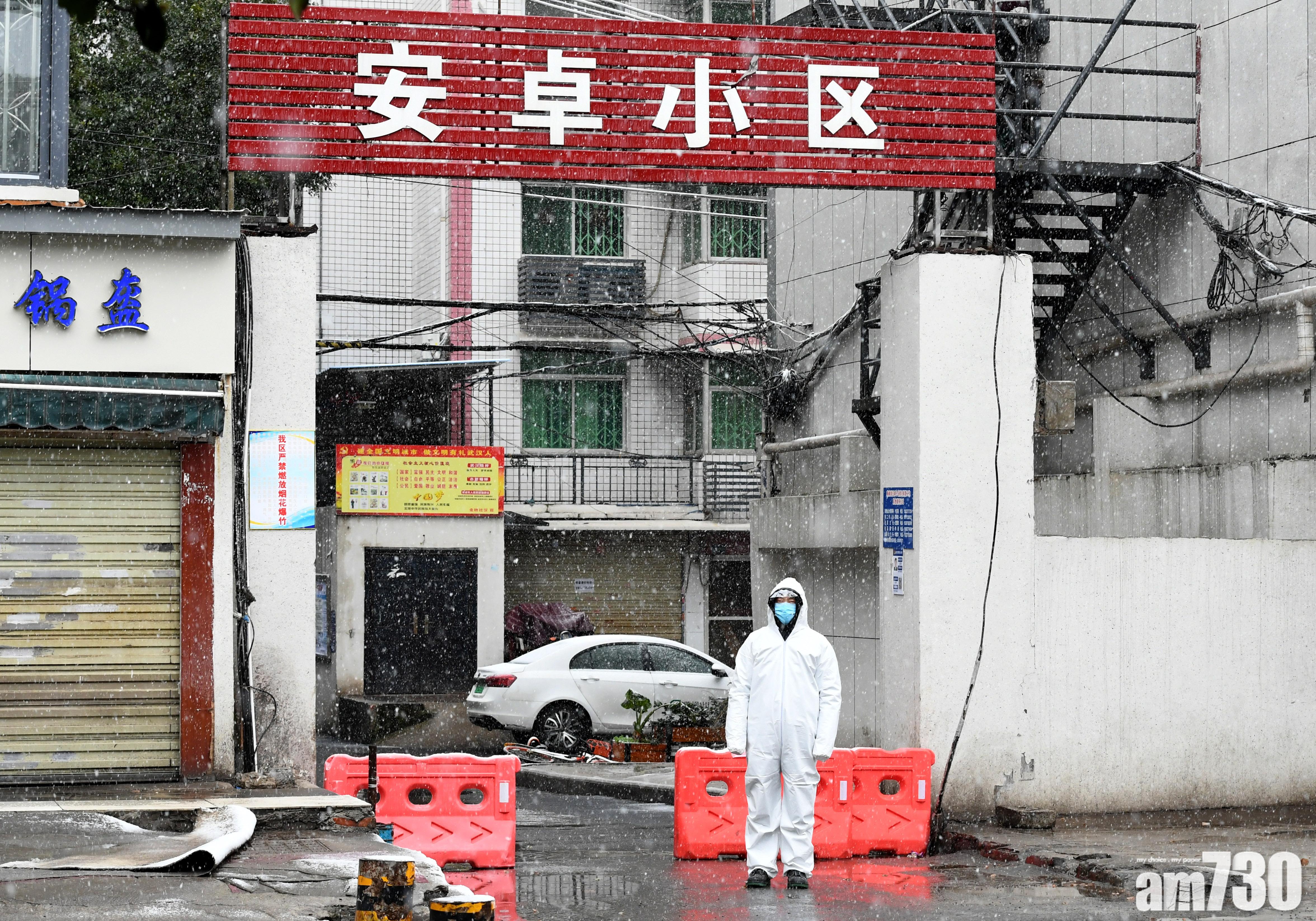 【武漢肺炎】湖北嚴封社區禁出入 集中採購生活必需品