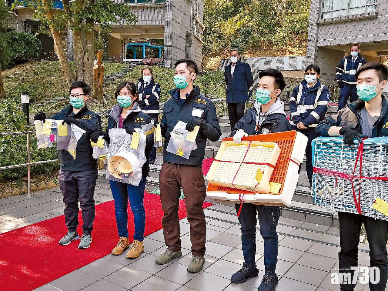 豪景花園寵物大屠殺 49歲男子被捕