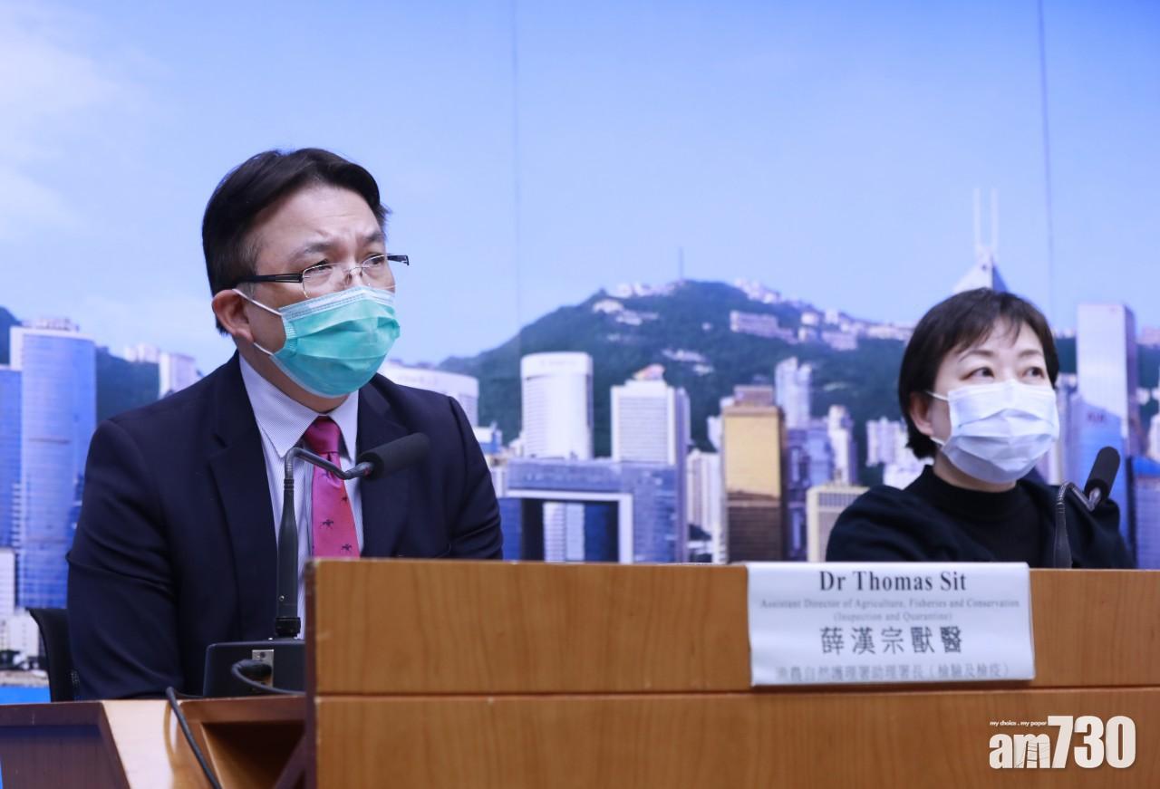 【武漢肺炎】狗隻低程度感染    漁護署：主人或很錫狗經常有接觸
