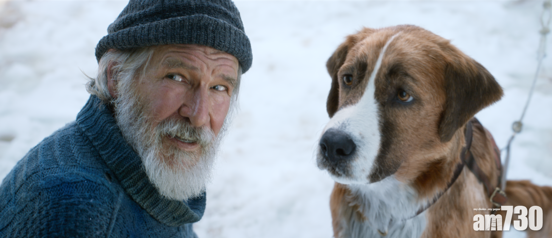 《極地守護犬》夏里遜福與「假狗」鬥戲