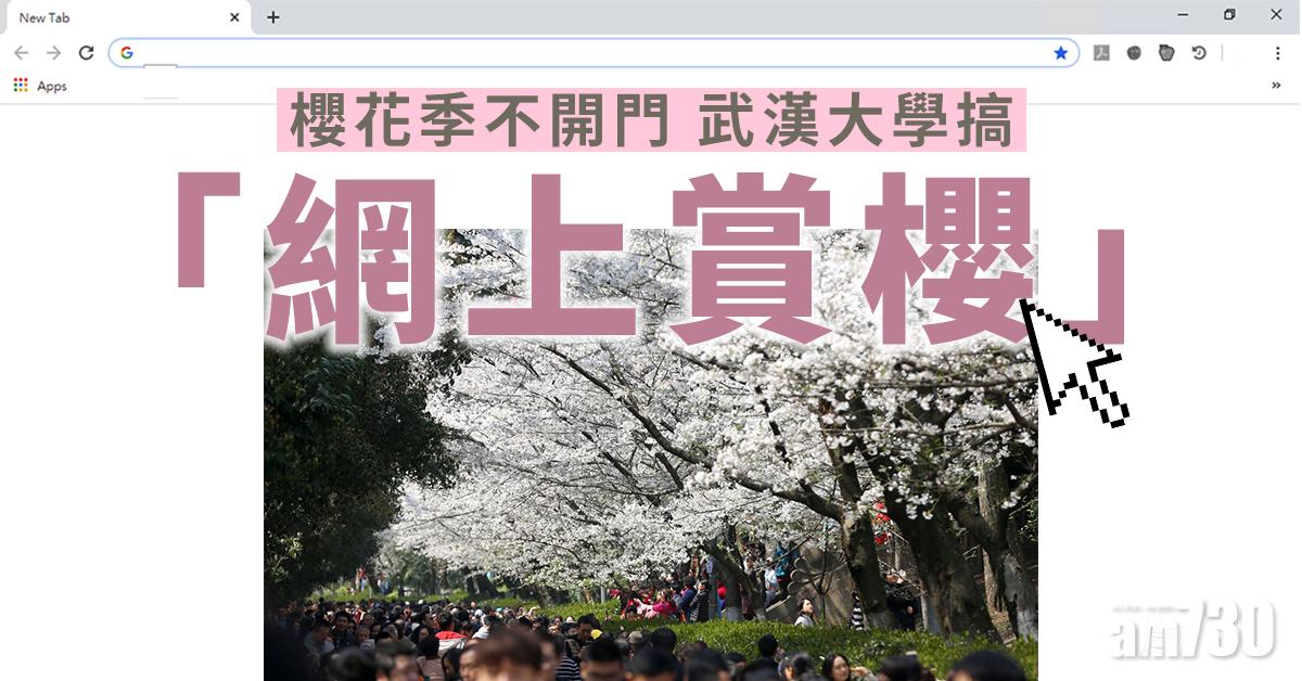 【新冠肺炎】櫻花季不開門 武漢大學搞「網上賞櫻」
